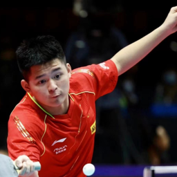 术适应能力 术适应能力